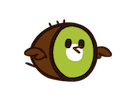 Kiwi Bird