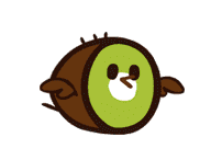 Kiwi Bird