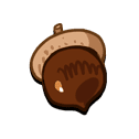 Always Cute Acorn