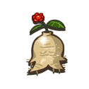 Ancient Ginseng Root