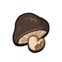 Big Head Mushroom