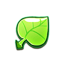 Glistening Green Leaves