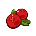 Nutritious Cranberry