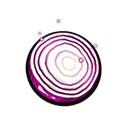Onion Scale Slice