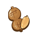 Roasted Fresh Peanut