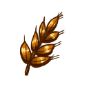 Shiny Wheat