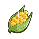 Wild Corn Cob